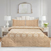 Sand Drift Cotton Printed Bedsheet Set
