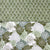 Forest Green 6Pcs Cotton Comforter Set